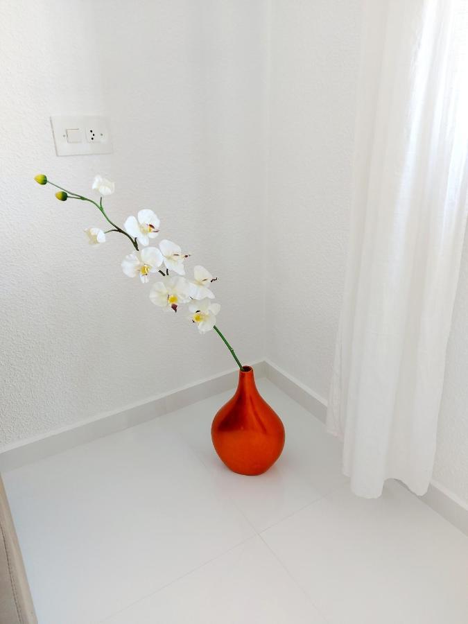 Albir Resort El Albir Εξωτερικό φωτογραφία