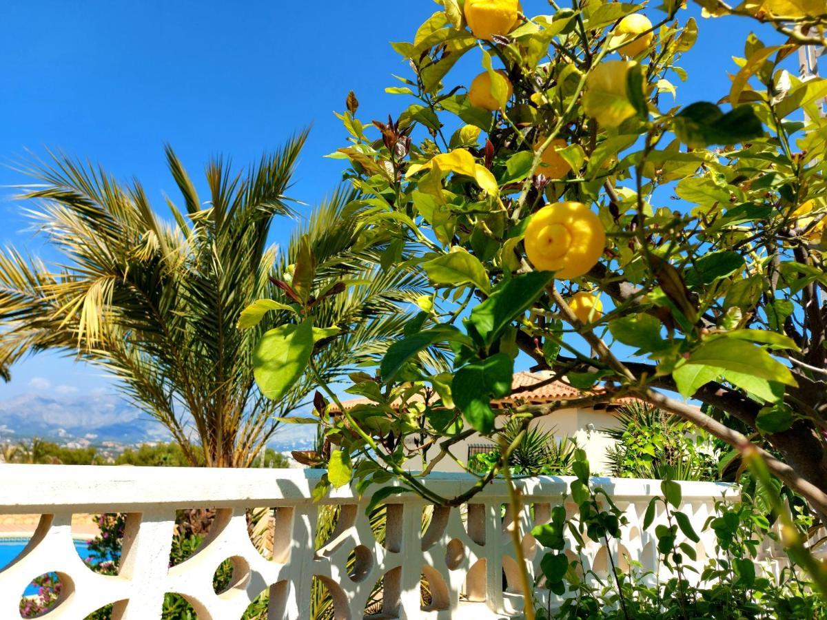 Albir Resort El Albir Εξωτερικό φωτογραφία